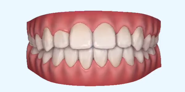 Week 23